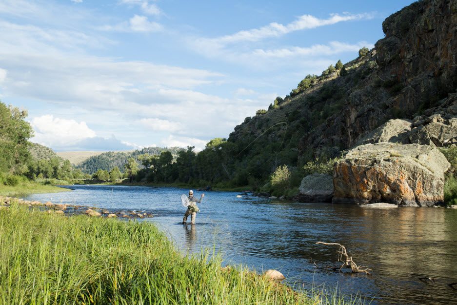 Man fly fishing