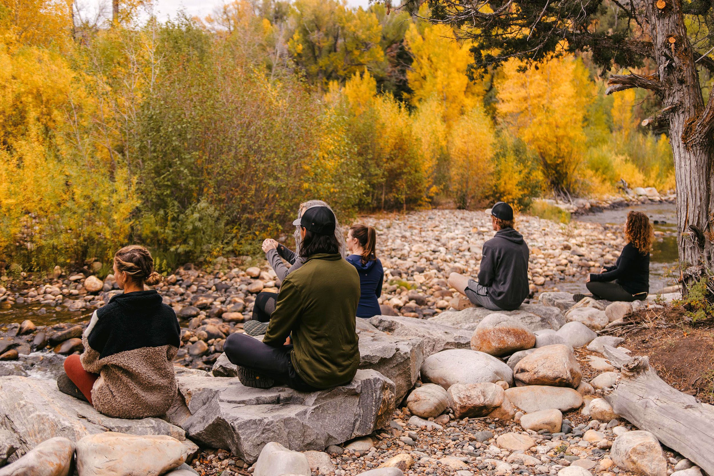 Forest Bathing Nature Meditation at Wellness Resort