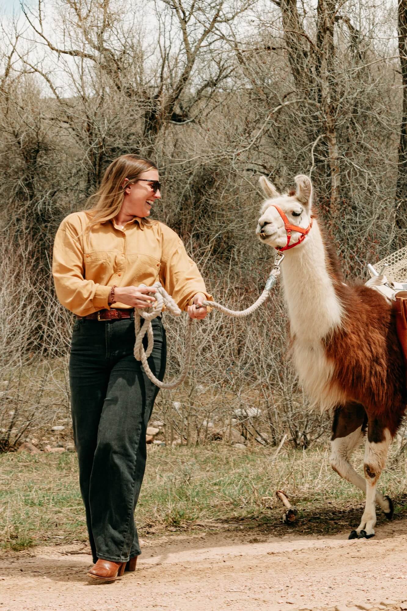 Llama Hikes in Wyoming at Brush Creek Ranch