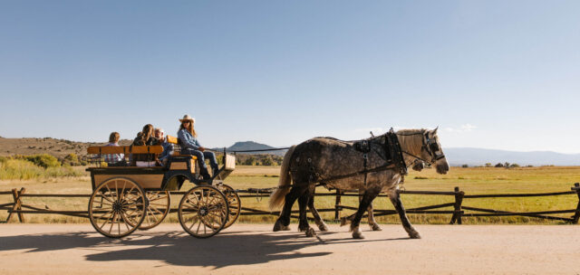 Horse Drawn Sleigh & Wagon Rides - Brush Creek Ranch
