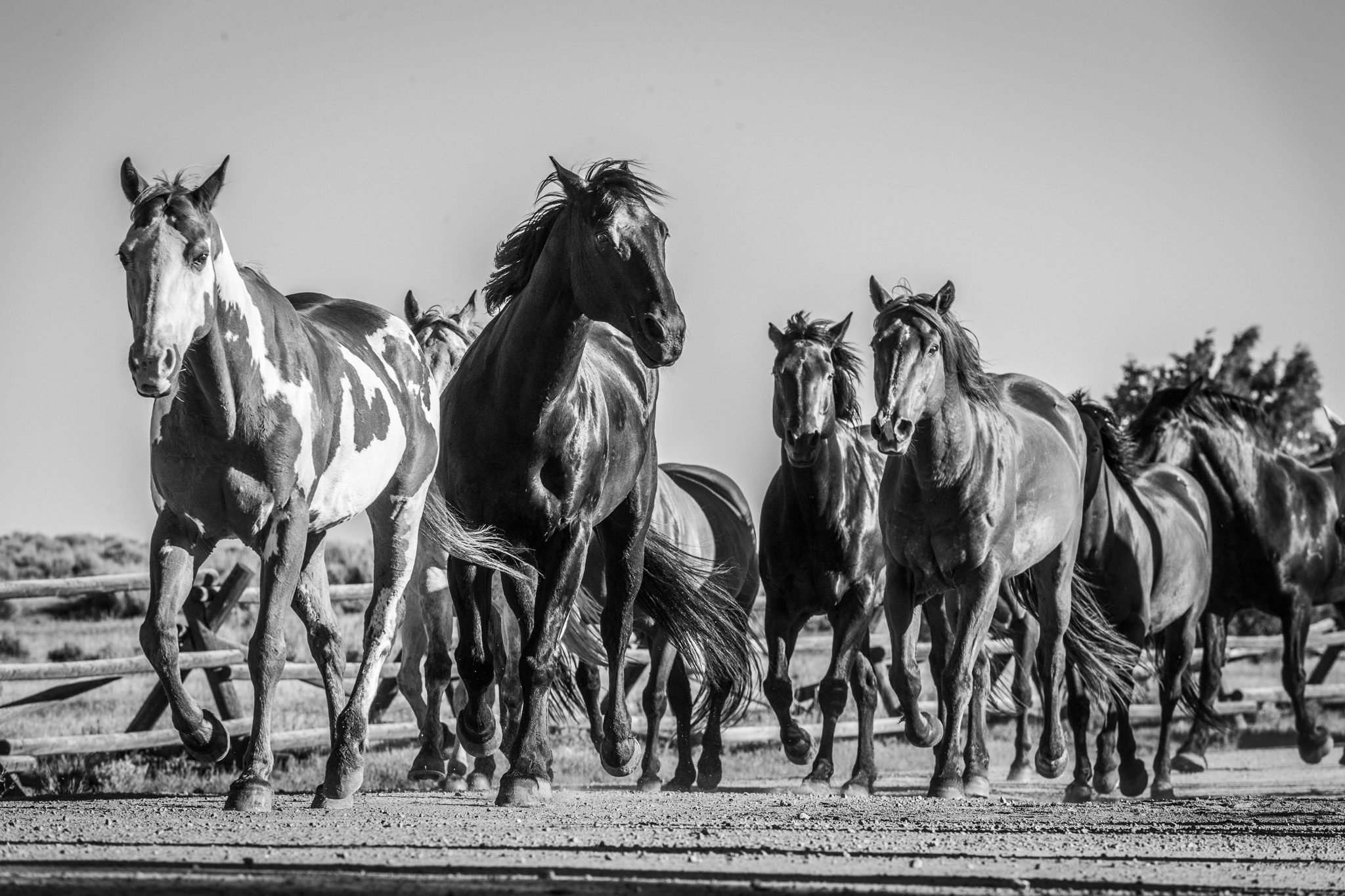 Winter Photography Experience at Brush Creek Ranch with Ilana Habib